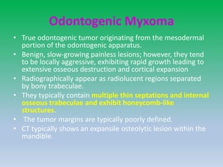 Odontogenic Myxoma
• True odontogenic tumor originating from the mesodermal
portion of the odontogenic apparatus.
• Benign, slow-growing painless lesions; however, they tend
to be locally aggressive, exhibiting rapid growth leading to
extensive osseous destruction and cortical expansion
• Radiographically appear as radiolucent regions separated
by bony trabeculae.
• They typically contain multiple thin septations and internal
osseous trabeculae and exhibit honeycomb-like
structures.
• The tumor margins are typically poorly defined.
• CT typically shows an expansile osteolytic lesion within the
mandible.
 