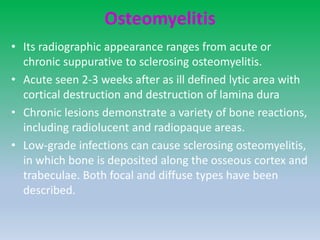 Osteomyelitis
• Its radiographic appearance ranges from acute or
chronic suppurative to sclerosing osteomyelitis.
• Acute seen 2-3 weeks after as ill defined lytic area with
cortical destruction and destruction of lamina dura
• Chronic lesions demonstrate a variety of bone reactions,
including radiolucent and radiopaque areas.
• Low-grade infections can cause sclerosing osteomyelitis,
in which bone is deposited along the osseous cortex and
trabeculae. Both focal and diffuse types have been
described.
 