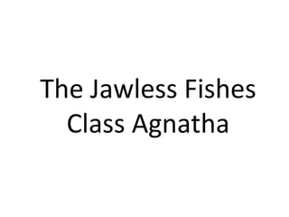 The Jawless Fishes
  Class Agnatha
 