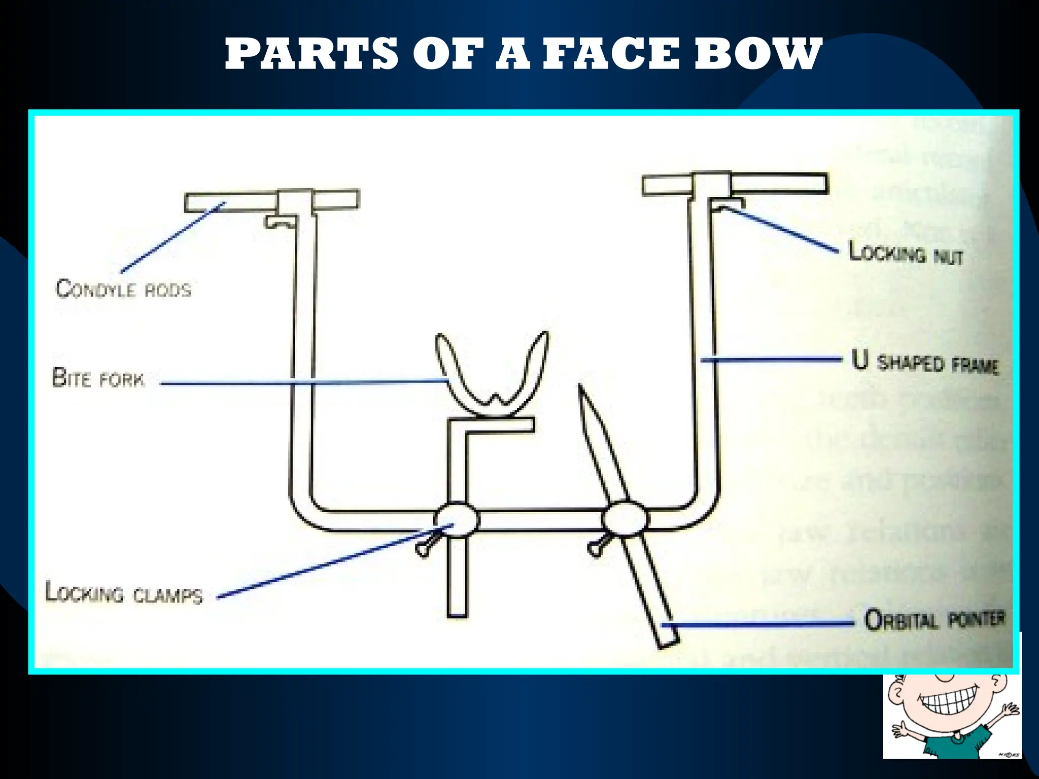 PARTS OF A FACE BOW
 