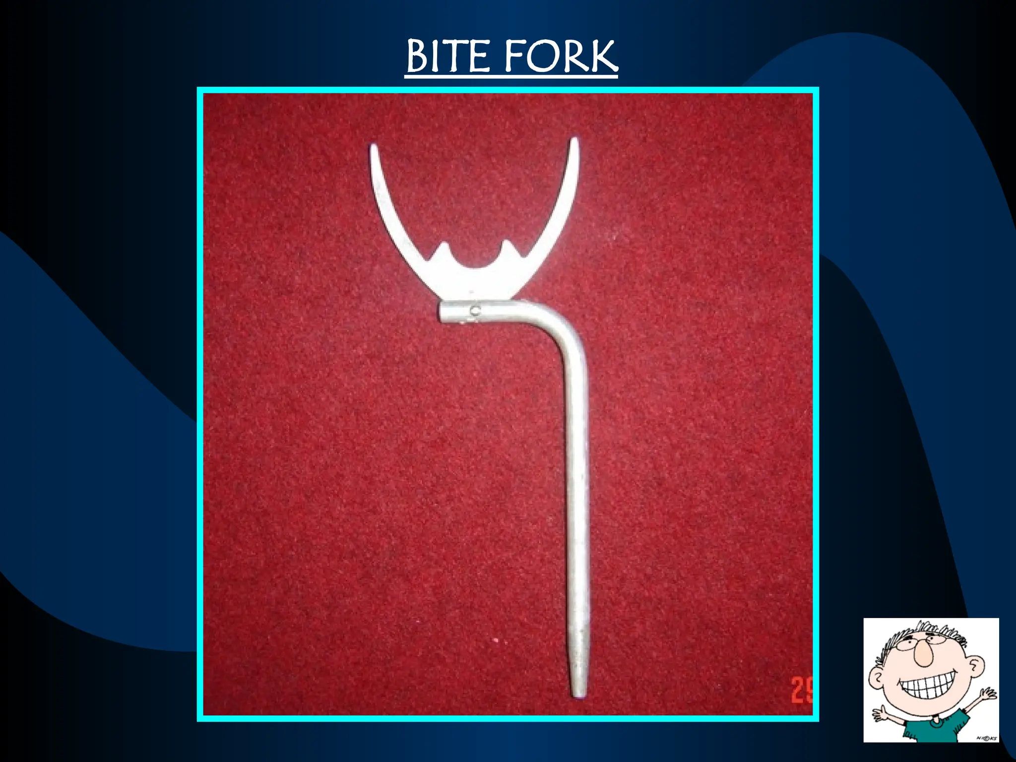 BITE FORK
 