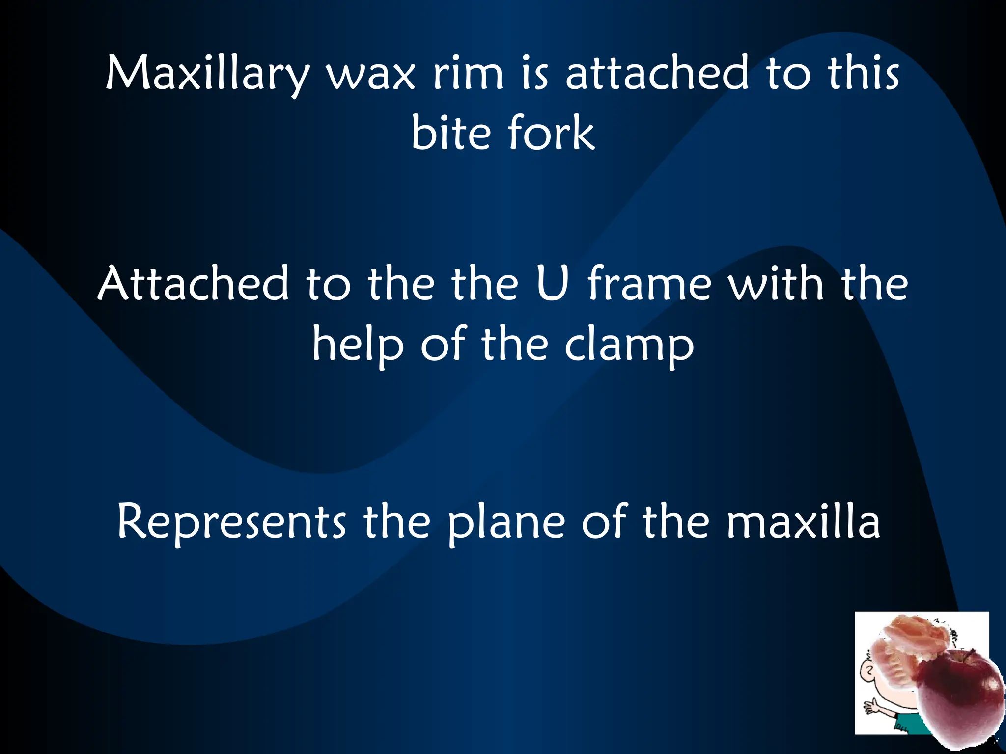 Maxillary wax rim is attached to this
bite fork
Represents the plane of the maxilla
Attached to the the U frame with the
help of the clamp
 