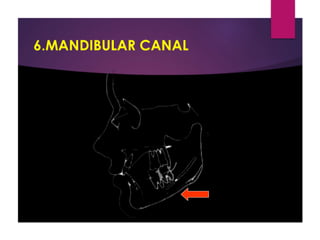 Jaw rotations