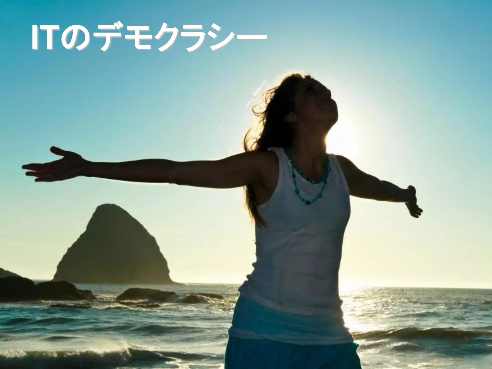 ITのデモクラシー
 