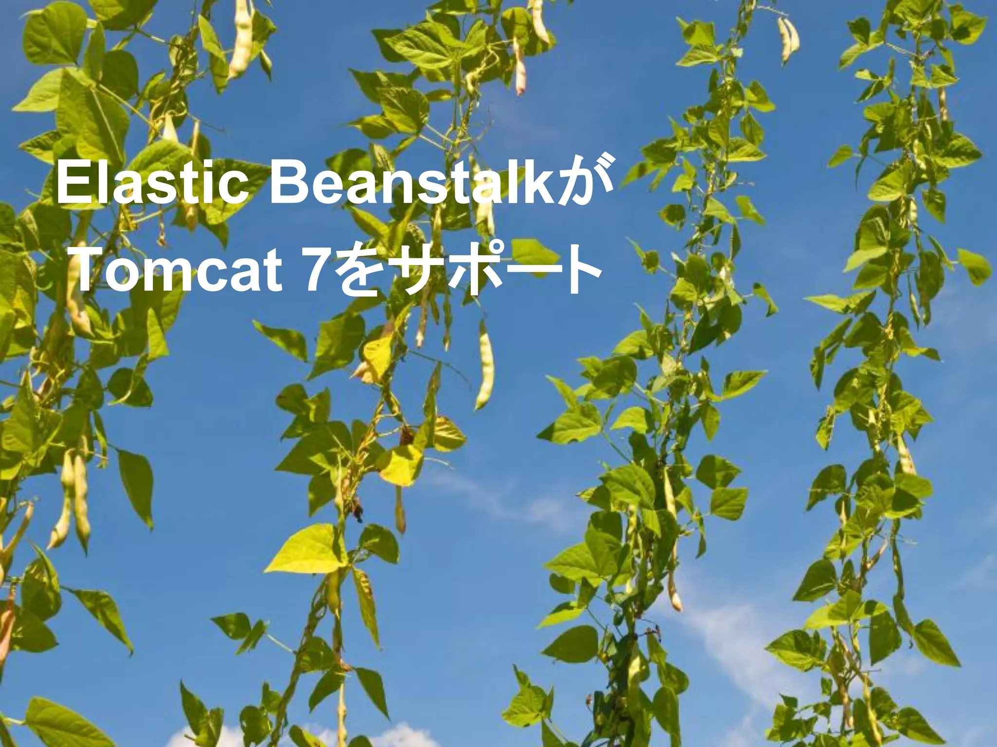 Elastic Beanstalkが
Tomcat 7をサポート
 