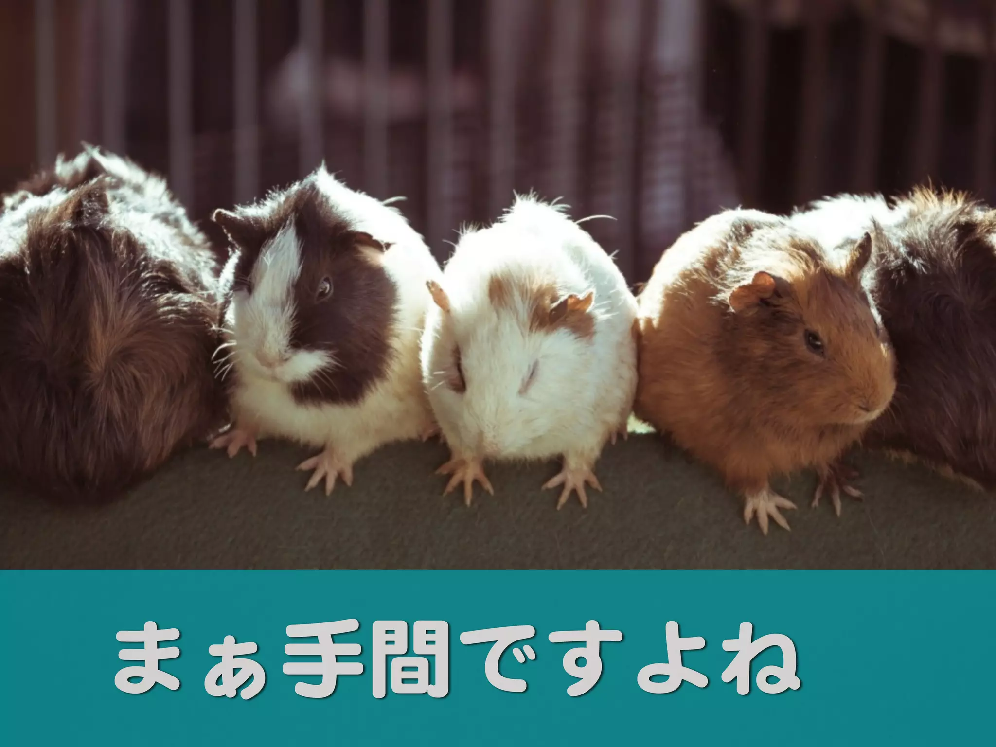 まぁ手間ですよね 
 