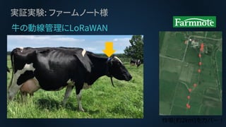 実証実験: ファームノート様
牧場(約2km)をカバー！
牛の動線管理にLoRaWAN
 