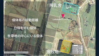 搾乳舎
放牧地
LoRaWANゲートウェイ
個体毎の移動距離
日陰を好む個体
↕
牧草地の中心にいる個体
 