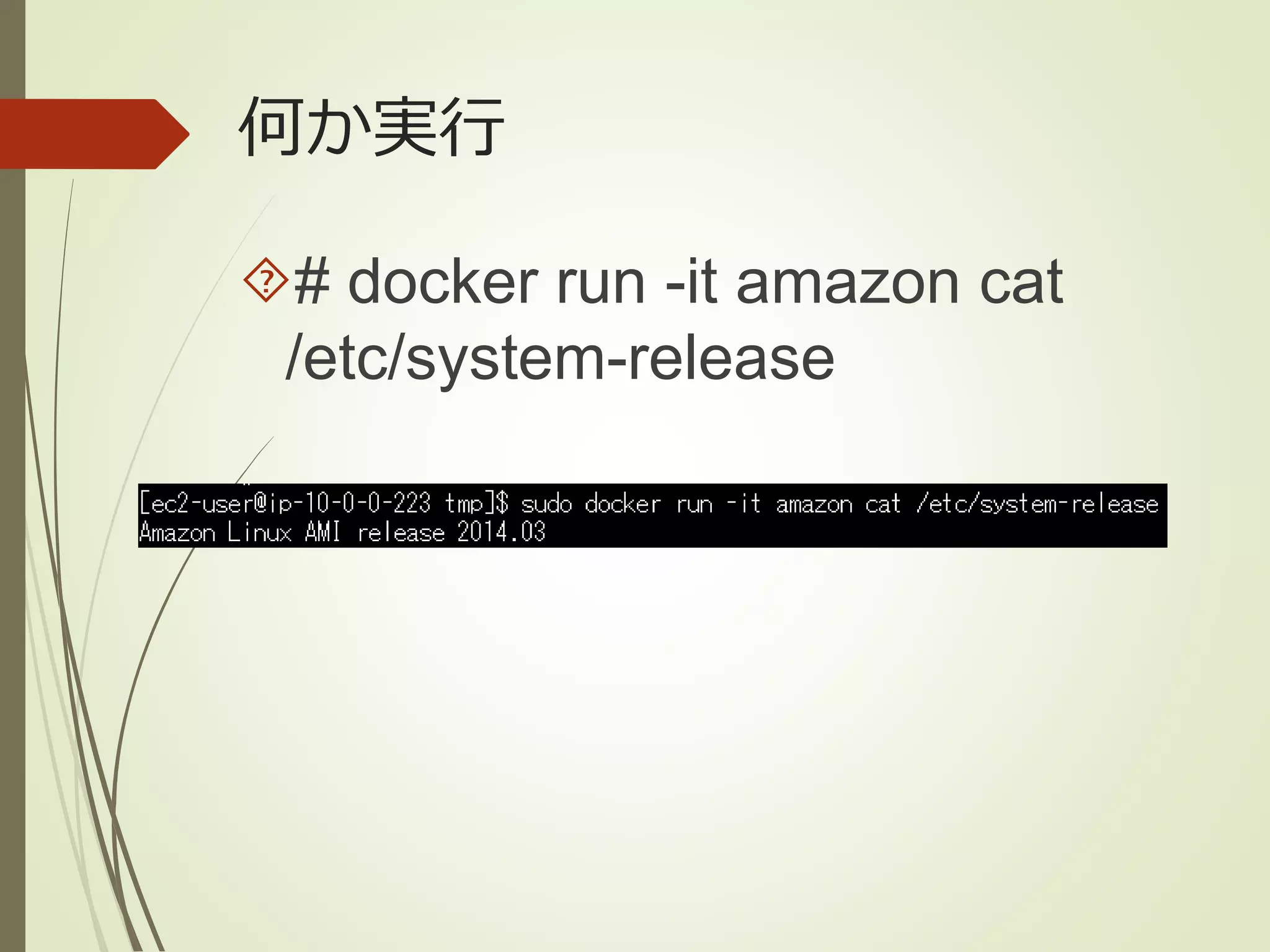 何か実行 
# docker run -it amazon cat 
/etc/system-release 
 
