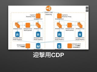 迎撃用CDP 
 