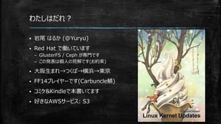 わたしはだれ？
 岩尾 はるか (@Yuryu)
 Red Hat で働いています
– GlusterFS / Ceph が専門です
– この発表は個人の見解です(お約束)
 大阪生まれ→つくば→横浜→東京
 FF14プレイヤーです(Carbuncle鯖)
 コミケ&Kindleで本書いてます
 好きなAWSサービス: S3
 