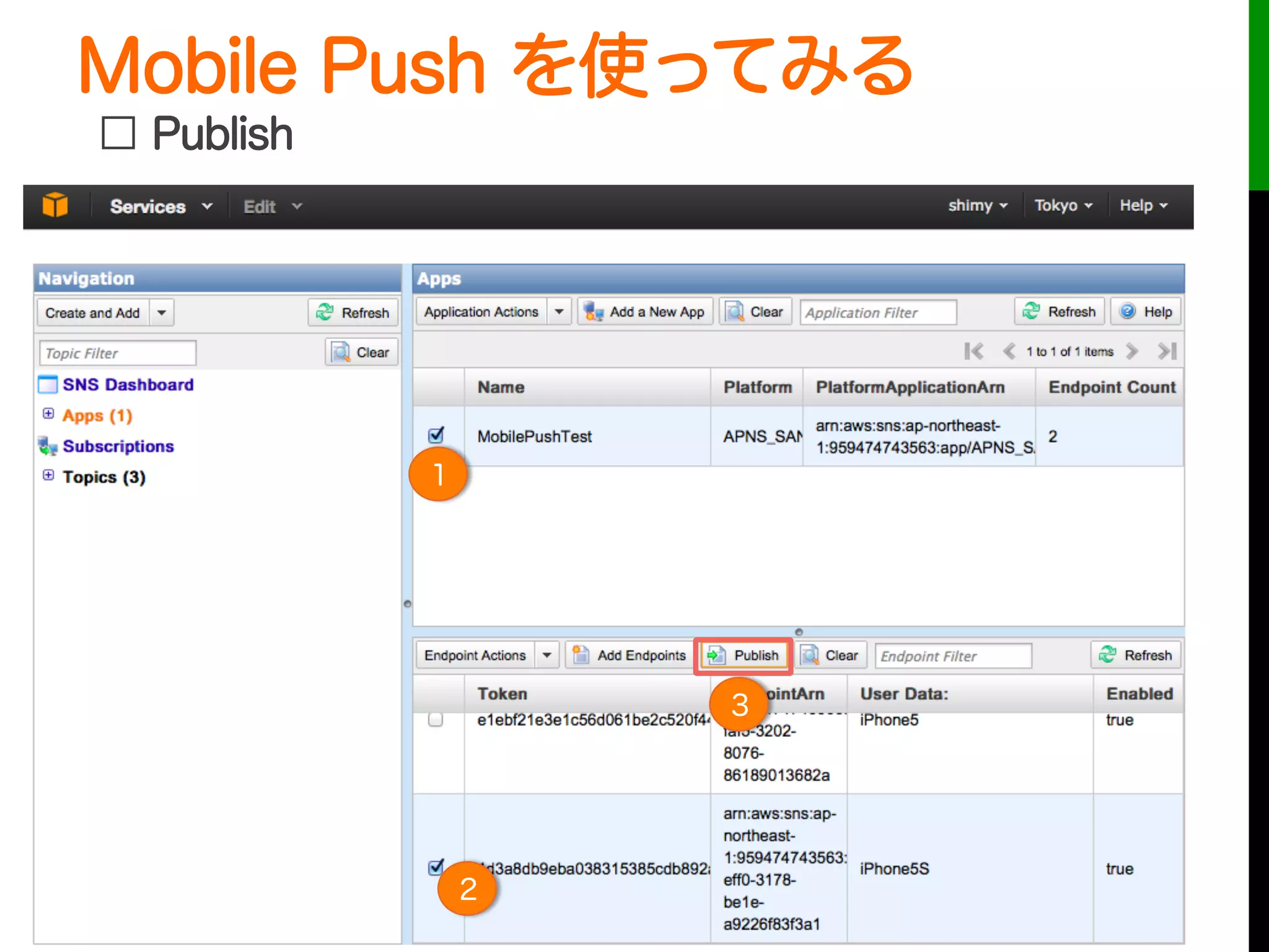 Mobile Push を使ってみる
 
□ Publish
2
1
3
 