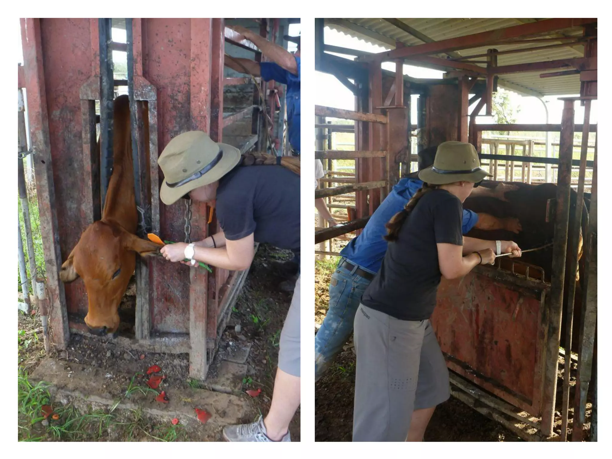 It will be lifechanging: living and working in Arnhem Land. Jawun Program, Miwatj Health and Commonwealth Bank