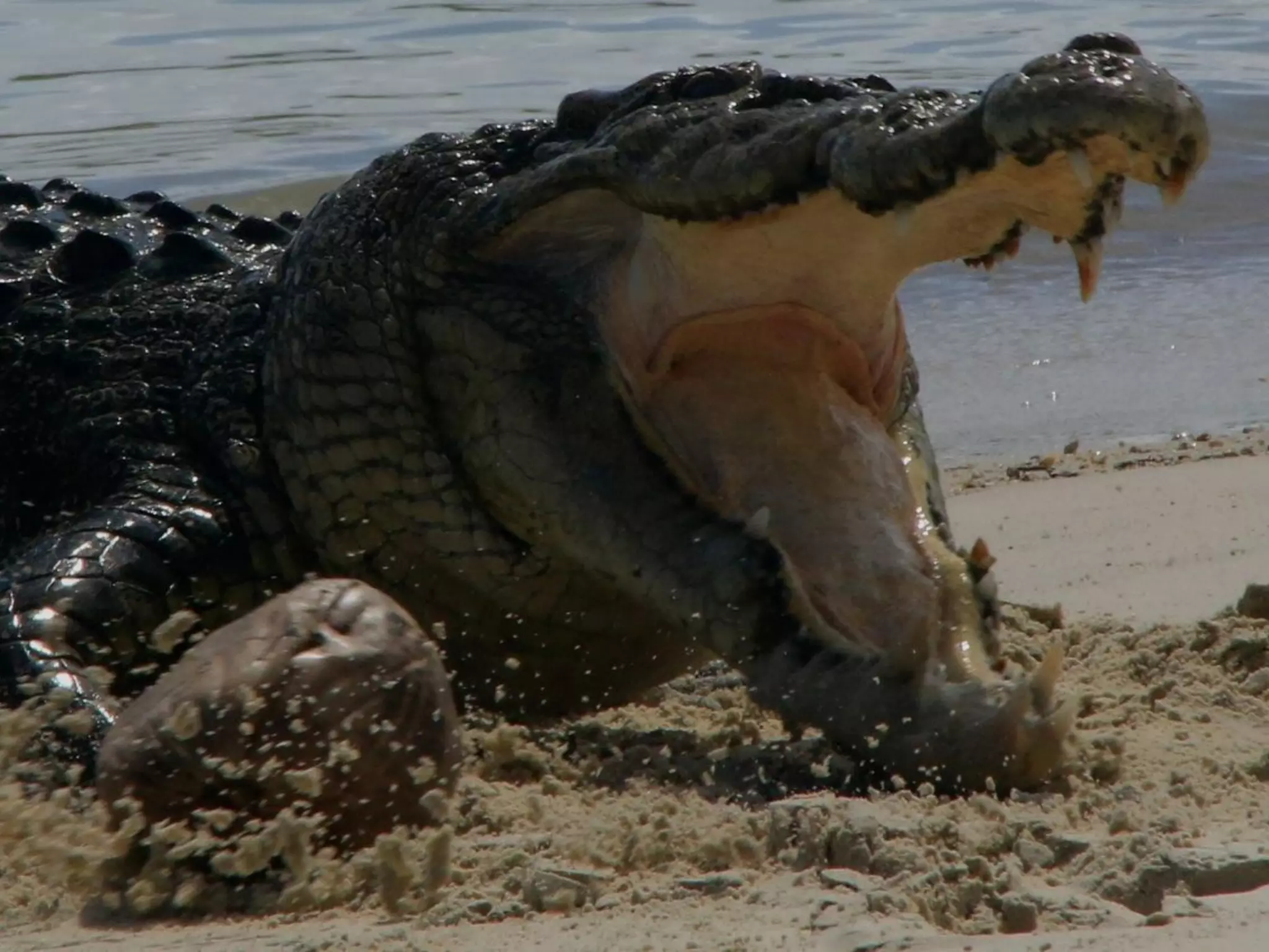 It will be lifechanging: living and working in Arnhem Land. Jawun Program, Miwatj Health and Commonwealth Bank