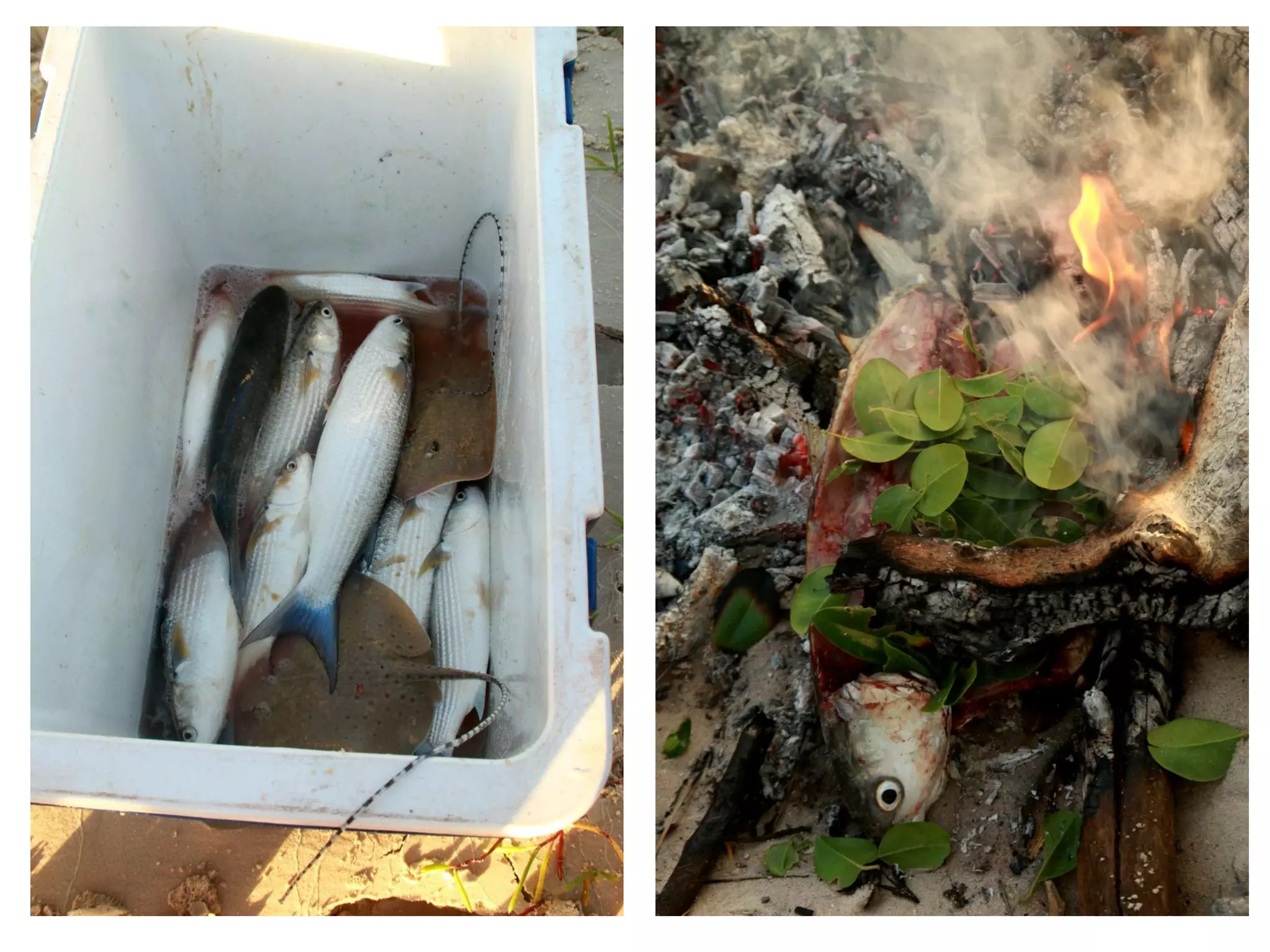 It will be lifechanging: living and working in Arnhem Land. Jawun Program, Miwatj Health and Commonwealth Bank