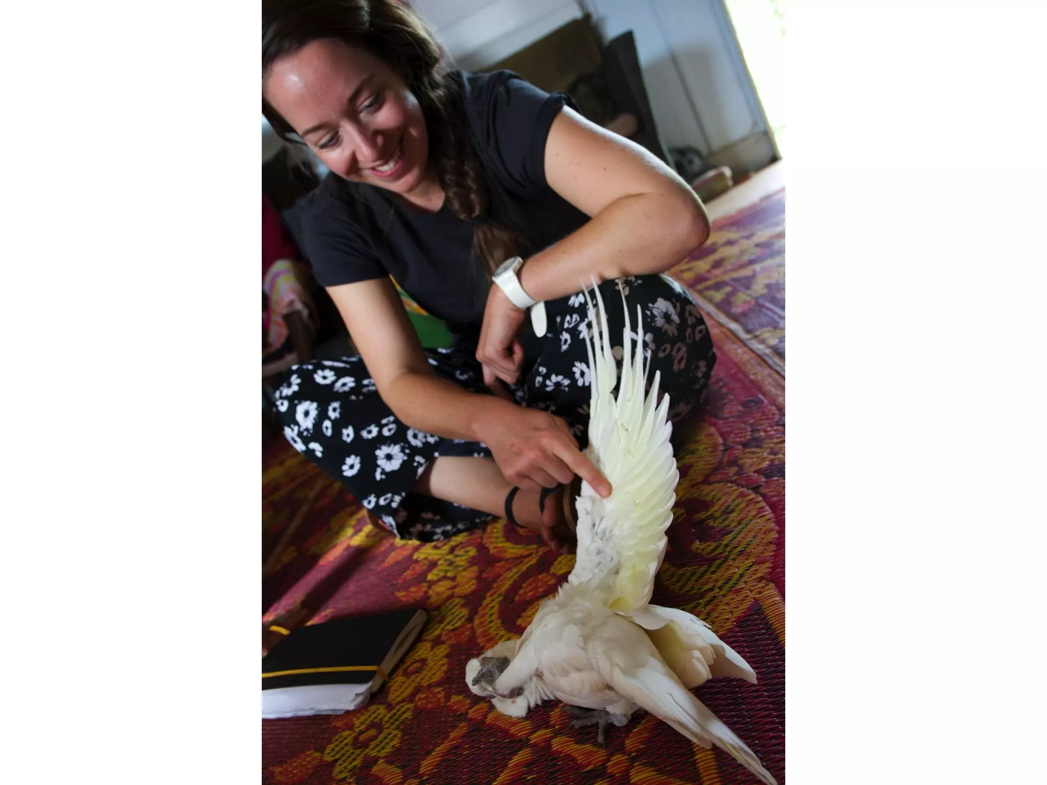 It will be lifechanging: living and working in Arnhem Land. Jawun Program, Miwatj Health and Commonwealth Bank