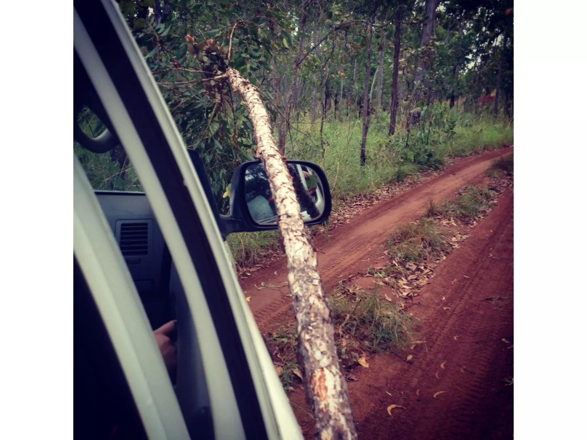 It will be lifechanging: living and working in Arnhem Land. Jawun Program, Miwatj Health and Commonwealth Bank