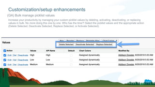 Increase your productivity by managing your custom picklist values by deleting, activating, deactivating, or replacing
values in bulk. No more doing this one by one. Who has the time?! Select the picklist values and the appropriate action
(Delete Selected, Deactivate Selected, Replace Selected, or Activate Selected).
Customization/setup enhancements
(GA) Bulk manage picklist values
 