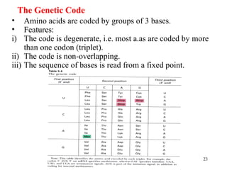 23
The Genetic Code
• Amino acids are coded by groups of 3 bases.
• Features:
i) The code is degenerate, i.e. most a.as are coded by more
than one codon (triplet).
ii) The code is non-overlapping.
iii) The sequence of bases is read from a fixed point.
 