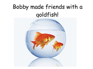 Bobby made friends with a goldfish! 