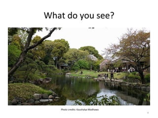What	
  do	
  you	
  see?	
  
4	
  
Photo	
  credits:	
  Kaushalya	
  Madhawa	
  
 