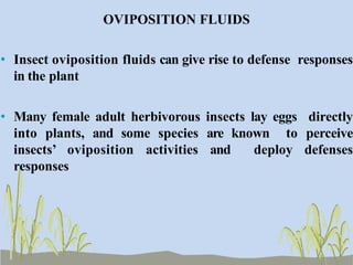 Defense Mechanism in Plants Against Insects | PPTX