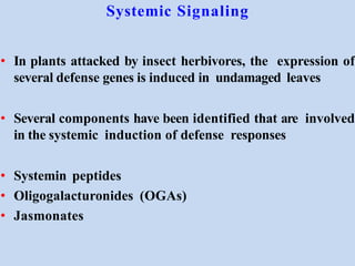 Defense Mechanism in Plants Against Insects | PPTX