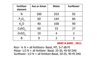 Rice-Rice-Rabi systems for low salinty regions of the coastal zone of Bangladesh