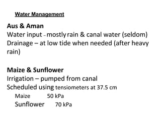 Rice-Rice-Rabi systems for low salinty regions of the coastal zone of Bangladesh