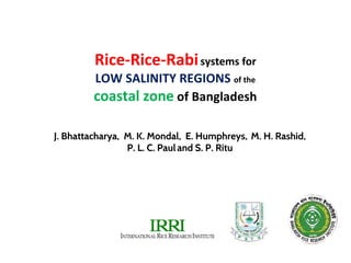Rice-Rice-Rabi systems for low salinty regions of the coastal zone of Bangladesh