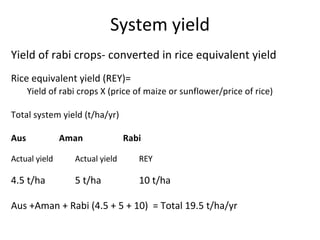 Rice-Rice-Rabi systems for low salinty regions of the coastal zone of Bangladesh