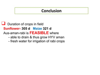Rice-Rice-Rabi systems for low salinty regions of the coastal zone of Bangladesh