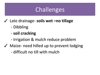 Rice-Rice-Rabi systems for low salinty regions of the coastal zone of Bangladesh