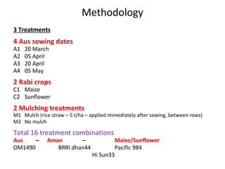 Rice-Rice-Rabi systems for low salinty regions of the coastal zone of Bangladesh