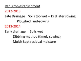 Rice-Rice-Rabi systems for low salinty regions of the coastal zone of Bangladesh