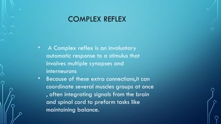 Reflex and complex animal behavior. Msc. Zoology. | PPTX