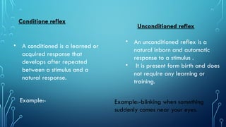 Reflex and complex animal behavior. Msc. Zoology. | PPTX
