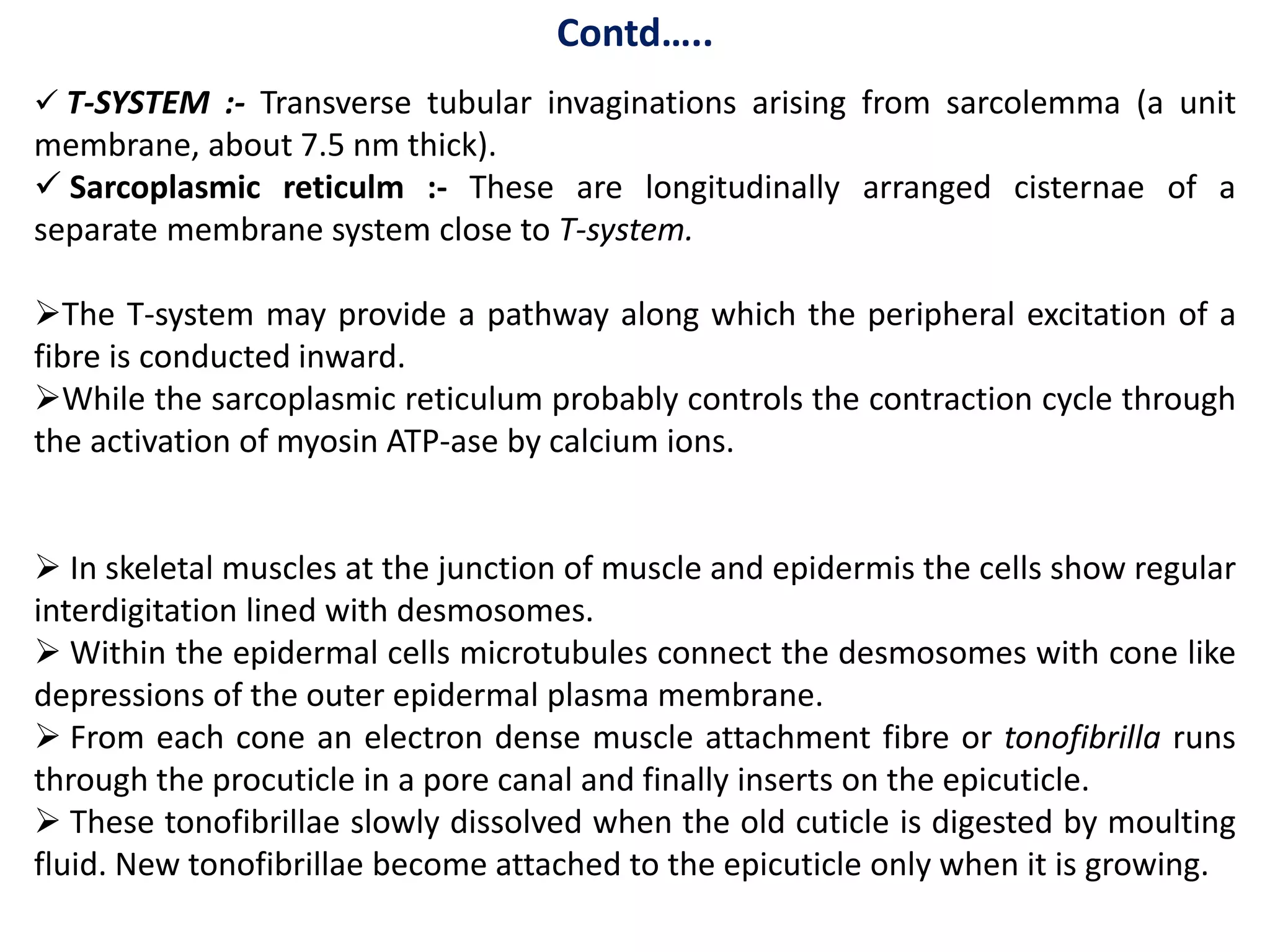 Contd…..
 T-SYSTEM :- Transverse tubular invaginations arising from sarcolemma (a unit
membrane, about 7.5 nm thick).
 Sarcoplasmic reticulm :- These are longitudinally arranged cisternae of a
separate membrane system close to T-system.
The T-system may provide a pathway along which the peripheral excitation of a
fibre is conducted inward.
While the sarcoplasmic reticulum probably controls the contraction cycle through
the activation of myosin ATP-ase by calcium ions.
 In skeletal muscles at the junction of muscle and epidermis the cells show regular
interdigitation lined with desmosomes.
 Within the epidermal cells microtubules connect the desmosomes with cone like
depressions of the outer epidermal plasma membrane.
 From each cone an electron dense muscle attachment fibre or tonofibrilla runs
through the procuticle in a pore canal and finally inserts on the epicuticle.
 These tonofibrillae slowly dissolved when the old cuticle is digested by moulting
fluid. New tonofibrillae become attached to the epicuticle only when it is growing.
 