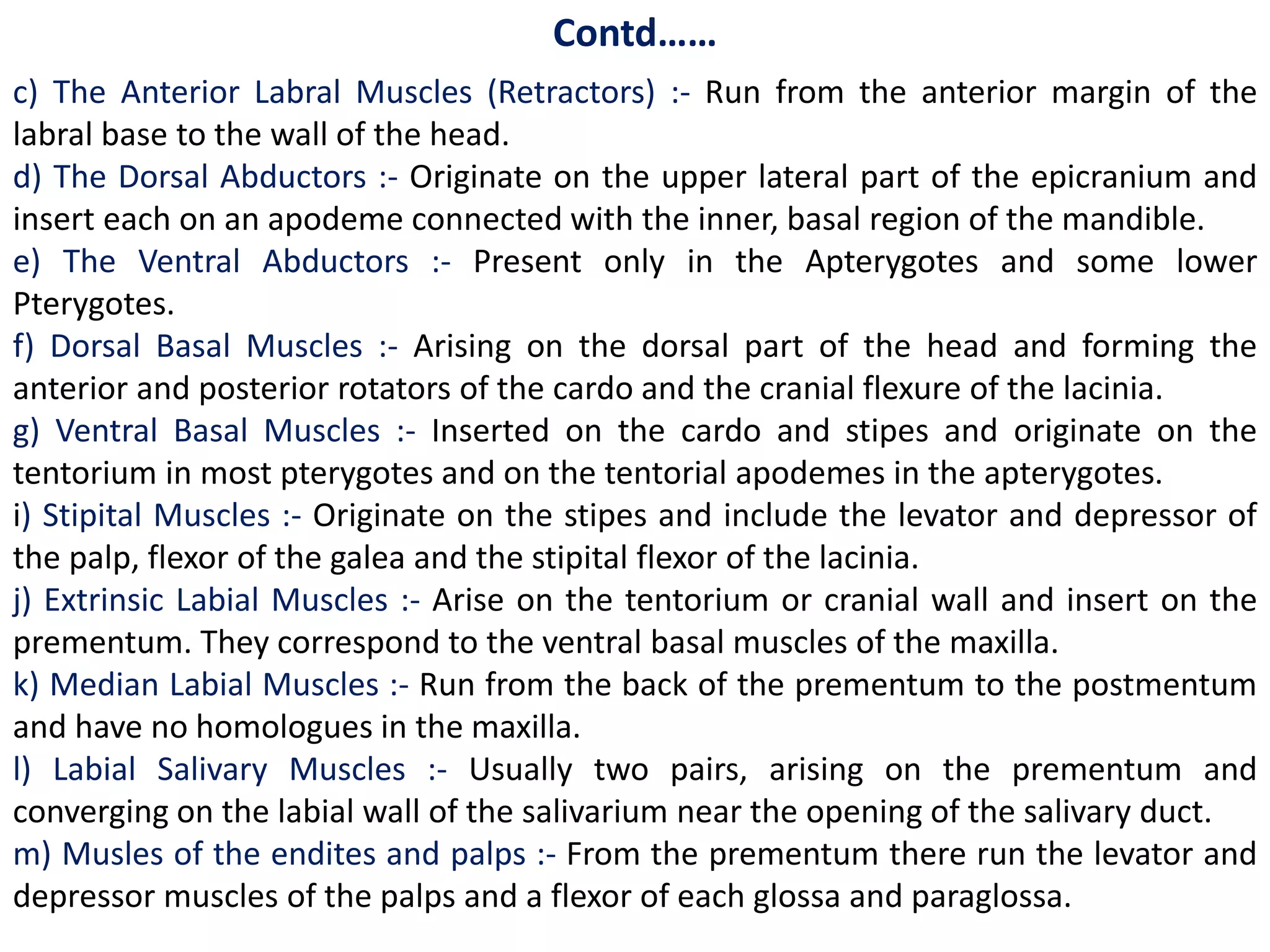 Contd……
c) The Anterior Labral Muscles (Retractors) :- Run from the anterior margin of the
labral base to the wall of the head.
d) The Dorsal Abductors :- Originate on the upper lateral part of the epicranium and
insert each on an apodeme connected with the inner, basal region of the mandible.
e) The Ventral Abductors :- Present only in the Apterygotes and some lower
Pterygotes.
f) Dorsal Basal Muscles :- Arising on the dorsal part of the head and forming the
anterior and posterior rotators of the cardo and the cranial flexure of the lacinia.
g) Ventral Basal Muscles :- Inserted on the cardo and stipes and originate on the
tentorium in most pterygotes and on the tentorial apodemes in the apterygotes.
i) Stipital Muscles :- Originate on the stipes and include the levator and depressor of
the palp, flexor of the galea and the stipital flexor of the lacinia.
j) Extrinsic Labial Muscles :- Arise on the tentorium or cranial wall and insert on the
prementum. They correspond to the ventral basal muscles of the maxilla.
k) Median Labial Muscles :- Run from the back of the prementum to the postmentum
and have no homologues in the maxilla.
l) Labial Salivary Muscles :- Usually two pairs, arising on the prementum and
converging on the labial wall of the salivarium near the opening of the salivary duct.
m) Musles of the endites and palps :- From the prementum there run the levator and
depressor muscles of the palps and a flexor of each glossa and paraglossa.
 