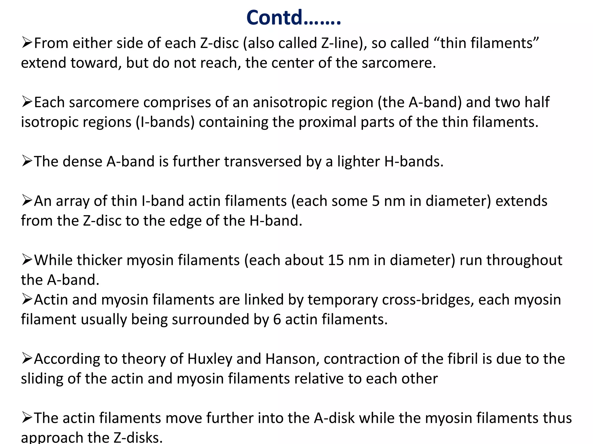 Contd…….
From either side of each Z-disc (also called Z-line), so called “thin filaments”
extend toward, but do not reach, the center of the sarcomere.
Each sarcomere comprises of an anisotropic region (the A-band) and two half
isotropic regions (I-bands) containing the proximal parts of the thin filaments.
The dense A-band is further transversed by a lighter H-bands.
An array of thin I-band actin filaments (each some 5 nm in diameter) extends
from the Z-disc to the edge of the H-band.
While thicker myosin filaments (each about 15 nm in diameter) run throughout
the A-band.
Actin and myosin filaments are linked by temporary cross-bridges, each myosin
filament usually being surrounded by 6 actin filaments.
According to theory of Huxley and Hanson, contraction of the fibril is due to the
sliding of the actin and myosin filaments relative to each other
The actin filaments move further into the A-disk while the myosin filaments thus
approach the Z-disks.
 
