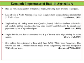 Sound Strategies: the 65-million-year-old battle between Bats and ...