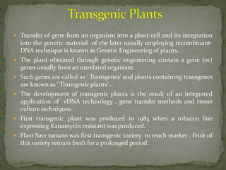 Tissue culture techniques in plant protection | PPTX
