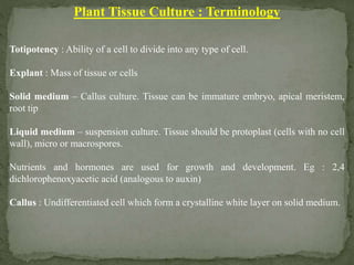 Tissue culture techniques in plant protection | PPTX