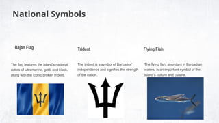 National Symbols
The flag features the island's national
colors of ultramarine, gold, and black,
along with the iconic broken trident.
The trident is a symbol of Barbados'
independence and signifies the strength
of the nation.
Bajan Flag
The flying fish, abundant in Barbadian
waters, is an important symbol of the
island's culture and cuisine.
Trident Flying Fish
 