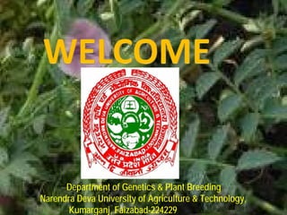 Department of Genetics & Plant Breeding
Narendra Deva University of Agriculture & Technology,
Kumarganj, Faizabad-224229
 