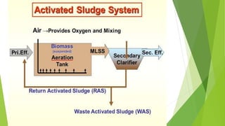 Dairy Effluent Treatment | PPT