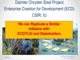 © CSIR ECD Project
www.csir.co.za
Slide 7
Daimler Chrysler Sisal Project
Enterprise Creation for Development (ECD)
CSIR: IU
We can Replicate a Similar
Initiative with
ECD/TLIU and Stakeholders
 
