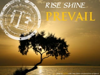 RISE. SHINE.
PREVAIL
Image	
  by	
  FOTOR.COM.	
  h1p://foter.com/photo/tree-­‐of-­‐light-­‐3/	
  
 