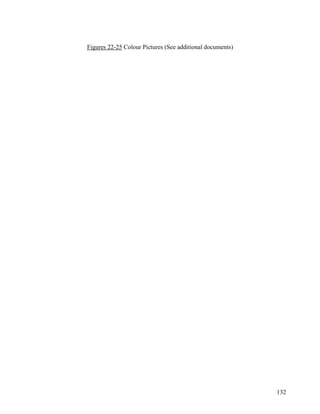 132
Figures 22-25 Colour Pictures (See additional documents)
 