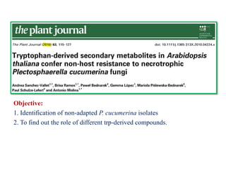 Objective:
1. Identification of non-adapted P. cucumerina isolates
2. To find out the role of different trp-derived compounds.
 